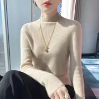 秋冬新款半高领修身内搭女套头长袖针织衫保暖打底衫纯色百搭毛衣