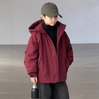 男童加厚外套秋冬款新款中大儿童男孩帅气冬装三合一冲锋衣款