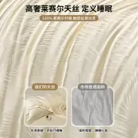 2026新款莱赛尔天丝床上用品四件套夏季冰丝被套被罩床单真丝床笠