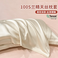 天丝枕套一对装家用真丝枕头套纯色高级感单人学生宿舍枕芯内胆套