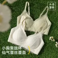新款法式内衣女薄款性感甜美蕾丝软支撑收副乳小胸聚拢无痕文胸罩