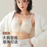无钢圈性感蕾丝内衣女洞洞杯高级感无痕聚拢收副乳防下垂文胸罩