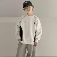 儿童装男童春装卫衣春秋款2026新款中大童男孩痞帅春季帅气上衣潮