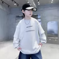 男童卫衣春秋款2026新款大童春季假两件上衣洋气儿童春装打底衫潮