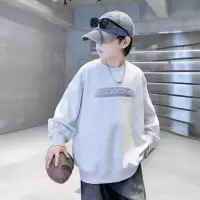 男童卫衣春秋款2026新款男孩帅气酷帅圆领上衣中大儿童春季打底衫