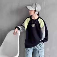 男童卫衣春秋款2026新款男孩春季儿童拼接痞帅炸街上衣中大童春装