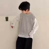 男童春季套装2026新款中大童帅气春秋款儿童T恤马甲两件套