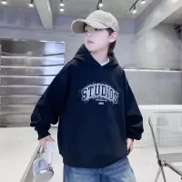 男童连帽卫衣春秋款2026新款中大童韩版上衣春季痞帅韩版儿童春装