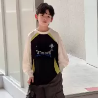 男童长袖T恤春秋款2026新款男孩春装卫衣T中大儿童装痞帅打底上衣