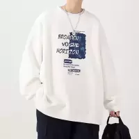 薄款圆领卫衣宽松休闲套头个性字母长袖上衣