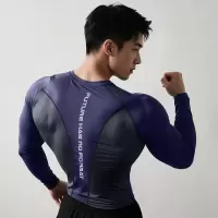 跑步运动休闲男士秋季速干紧身衣高弹压缩打底衫运动长袖健身