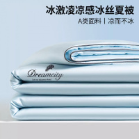 2026新款A类凉感冰丝夏凉被四件套可机洗夏被夏季空调被薄被