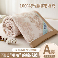 2026新款夏凉被全棉夏被夏季儿童单双人宿舍可机洗空调被薄款被子