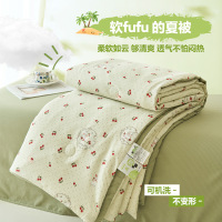 2026新款夏凉被夏被四件套夏季可机洗儿童单双人夏天薄被子空调被