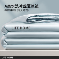 2026新款夏凉被空调被子单人双人薄夏被凉感冰丝可机洗被芯四件套