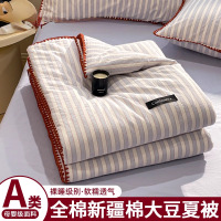 全棉大豆纤维夏被夏天纯棉夏凉被四件套可机洗家用空调被单人