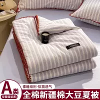 全棉大豆纤维夏被夏天纯棉夏凉被四件套可机洗家用空调被单人