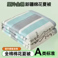 全棉棉花夏被空调被纯棉可机洗水洗夏凉被夏季被芯薄被子