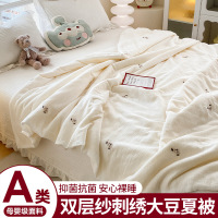 双层纱大豆纤维夏凉被子夏季空调被单双人儿童可机水洗薄棉被被芯