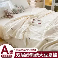 双层纱大豆纤维夏凉被子夏季空调被单双人儿童可机水洗薄棉被被芯