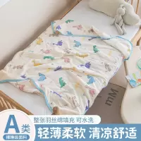 夏季儿童夏被夏凉被可机洗幼儿园凉感丝空调被春夏午睡超薄小被子
