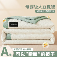 大豆夏凉被子空调被夏季儿童薄夏被可机洗四件套纯棉全棉春秋被芯