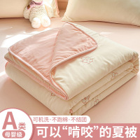 新款刺绣夏被夏季天薄款空调被单人夏凉被可机洗水洗棉花被子被芯