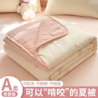 新款刺绣夏被夏季天薄款空调被单人夏凉被可机洗水洗棉花被子被芯