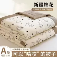 新疆纯棉夏凉被子夏被薄款空调被芯春秋被全棉可机洗夏季宿舍学生