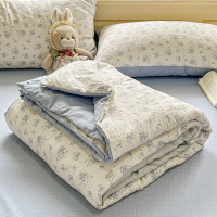 皱皱纱礼品夏被空调被薄被子2026新款宿舍夏凉被四件套可机洗4