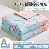 新疆棉花夏被空调被全棉夏凉被四件套单人可机洗薄款被子