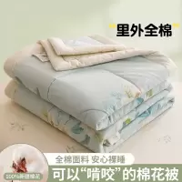 新疆纯棉花夏凉被纯棉全棉空调被单双人学生夏季薄被子被芯可机洗