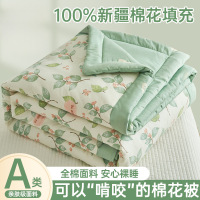 纯棉春秋被里外全棉夏被空调被夏季卡通儿童薄被子可机洗