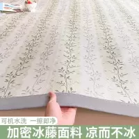 夏季冰丝凉席冰丝席夏天学生宿舍软席垫子夏凉垫席子藤席2026新款