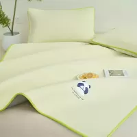 新款夏季冰丝床单单件2026新款学生宿舍单人夏天凉感被单凉席