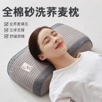 全棉荞麦枕头枕芯护颈椎一对二装家用助睡眠男专用成人小整头皮壳