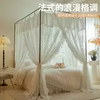 新型落地蚊帐家用卧室2026新款公主风床帘幔纱加粗支架杆高级纹帐
