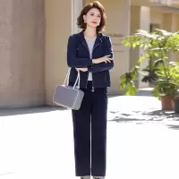 2026年女装春季洋气运动套装40-60岁中老年女装休闲运动服春秋女