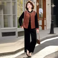 时尚新款中老年女装洋气婆婆装套装女简约春装妈妈装服装女国风女