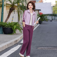 气质休闲中年装女套装40-60岁洋气妈妈装两件套衣服50岁中老年女