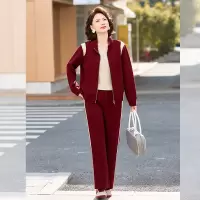 气质休闲妈妈装两件套套装女洋气中老年人运动服春装新款休闲服女