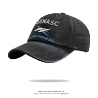 美式复古水洗做旧帽子男韩版百搭街头潮牌刺绣大头围显脸小鸭舌帽