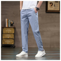 男士夏季薄款透气休闲裤直筒修身大码中年爸爸装商休闲务通勤长裤