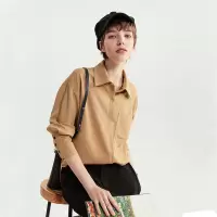云上生活春秋装简约文艺雪纺长袖复古女式衬衫