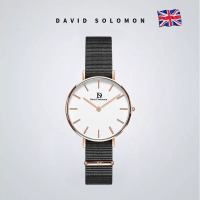 David Solomon手表女简约气质小清新情侣森系文艺正品薄女表