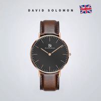 David Solomon手表女休闲时尚简约简约女式手表色皮质带女表
