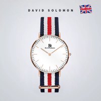 David Solomon手表休闲时尚简约女式手表 黑色经纶白面36MM