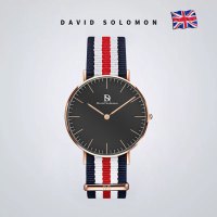 David Solomon手表女2019年新款时尚简约气质女士手表ins品牌正品