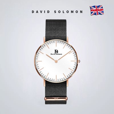 David Solomon手表休闲时尚简约女式手表 黑色经纶黑面 36MM