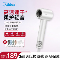 美的(Midea)高速吹风机 39亿等离子护发 家用吹风筒 杀菌除头螨电吹风 节日/生日礼物 FG208流光白